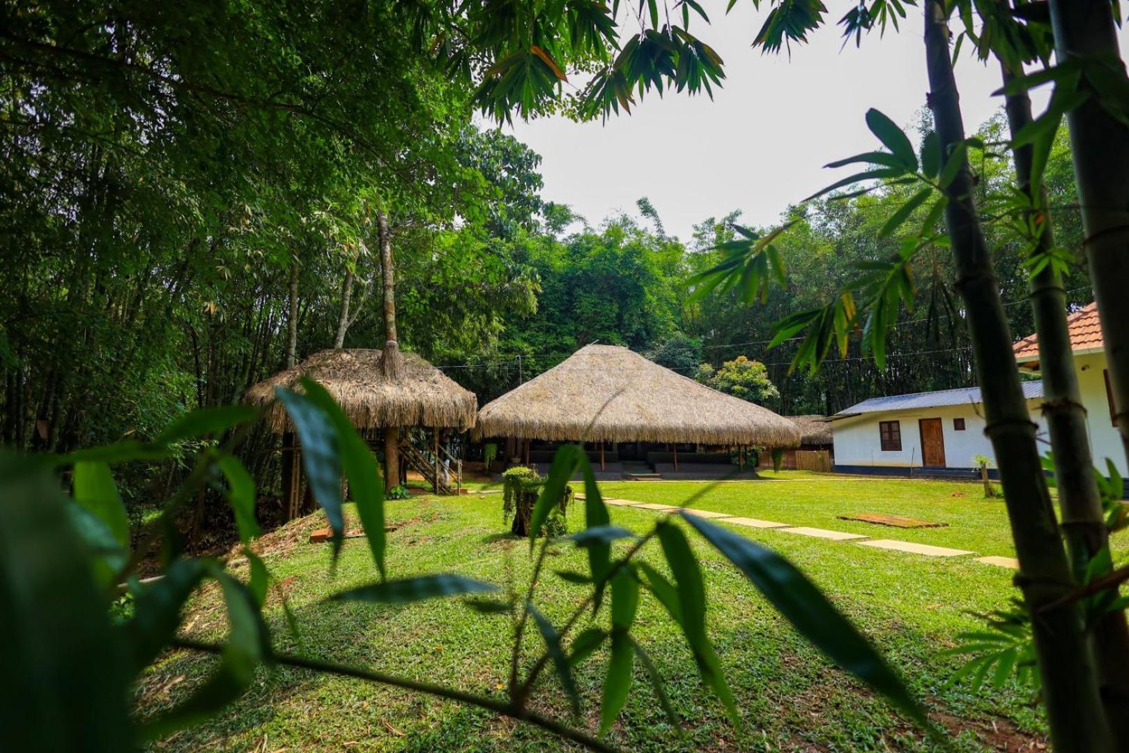 Bed and Breakfast Bamboo Grove Манантавади Экстерьер фото